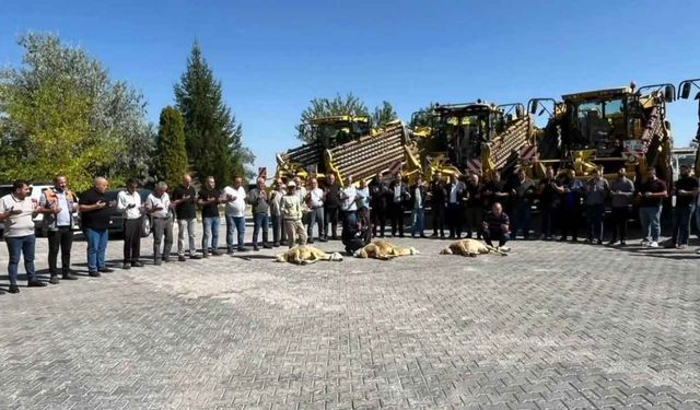 Yozgat Boğazlıyan’da Pancar Mesaisi Başladı!