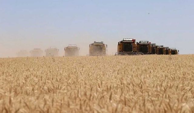 Yozgat’ın Tarım ve Hayvancılık Karnesi Açıkladı: Meclis Raporundan Çarpıcı Rakamlar Çıktı!