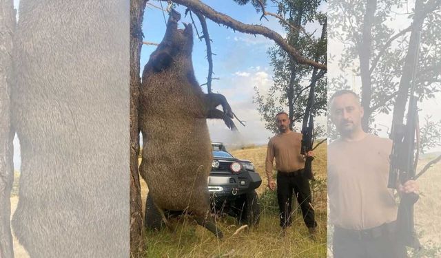Yozgat Akdağmadeni’nde 410 Kiloluk Dev Yaban Domuzu Avlandı