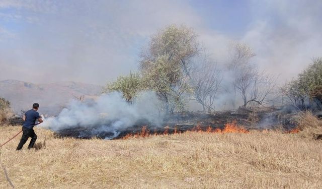 Yozgat’ta Yangın Paniği! 150 Dönüm Arazi Küle Döndü
