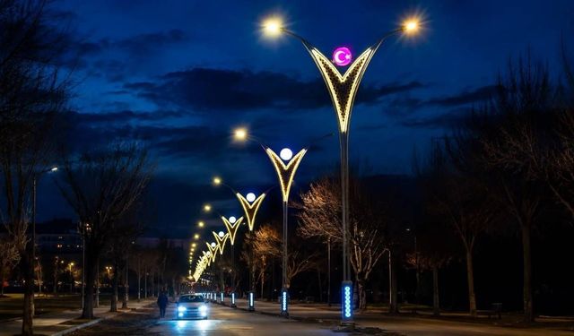 AYDINLATMA DİREĞİ SATIN ALINACAKTIR