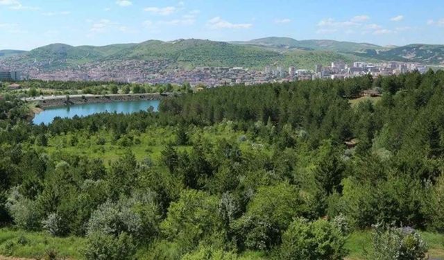 YOZGAT ORMAN İŞLETME MÜDÜRLÜĞÜ’NDEN
