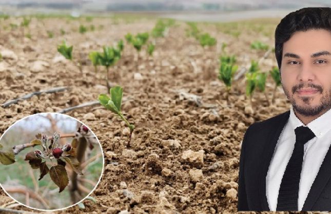 ÇİFTÇİLERİN YIL BOYU VERDİĞİ EMEK  BİR GECEDE KÜL OLDU!