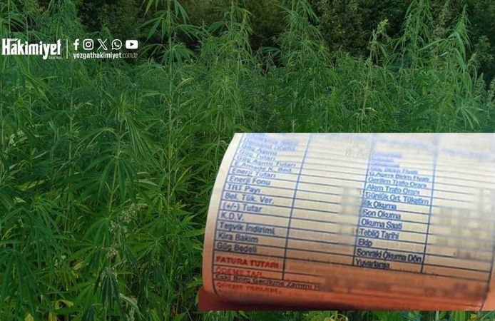 Yozgat’ta Şoke Eden Uyuşturucu Baskını! Evini Seraya Çevirmiş