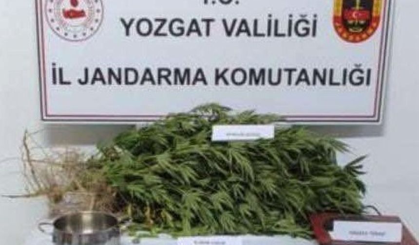 Yozgat’ta uyuşturucu operasyonu: 1 tutuklu
