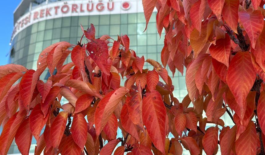 Bozok Üniversitesi Kampüsü Sonbahar Renklerine Büründü