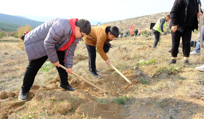 Geleceğe nefes için fidanlar toprakla buluştu