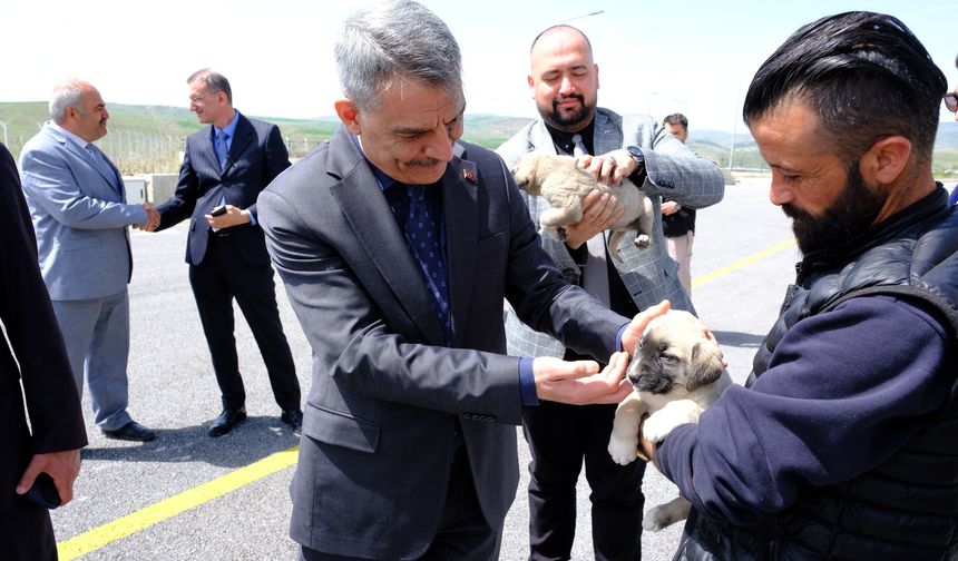 Yozgat’ta  3 bine yakın sokak hayvanı toplandı