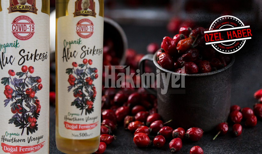 Yozgat’ta Fiyatlar Cep Yakıyor: En Az Yüzde 50 Zam!