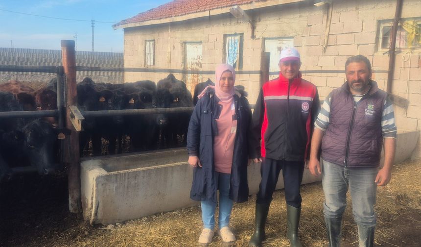 Yozgat'ta Kırsalda hayvancılığı güçlendirecek adım: Gebe damızlık teslimatı genişletiliyor