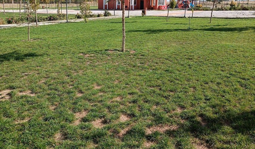 Boğazlıyan’da Çevre Yatırımları 2025’te Hız Kesmiyor