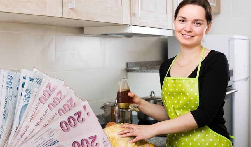 E Devlet'ten Başvuran Alıyor: Ev Hanımlarına Müjde!