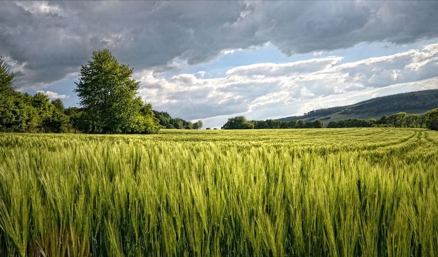 PTT Yozgat'ta Ucuza Arsa Satacak: Son Tarihi Açıklandı