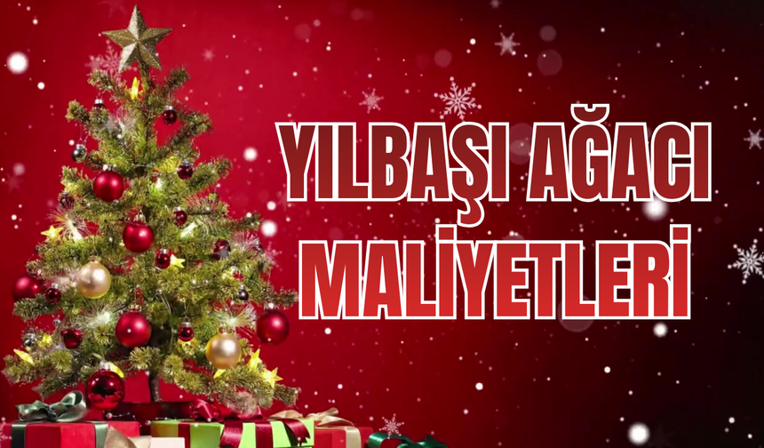 Yılbaşı Ağacı Maliyetleri: Aynı Ürünlerle Farklı Tarzlar!