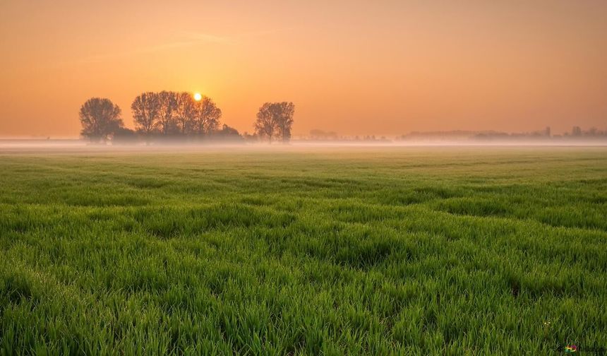 Yozgat'ta Tarım Yapacaklar Dikkat! En Şanssız Bölgeler Açıklandı