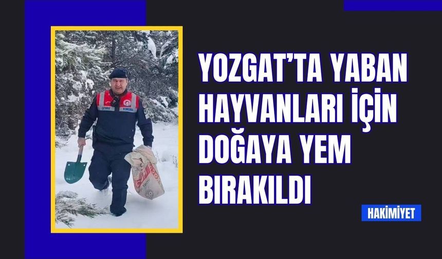 Yozgat’ta Yaban Hayvanları İçin Doğaya Yem Bırakıldı