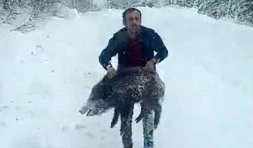 Ağzında Sigara, Elinde Domuz " Anı Olsun İstedim"