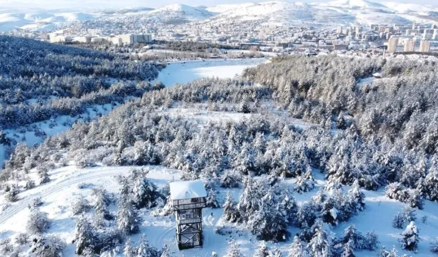 Yozgat Çamlığı’nı En Güzel Sen Anlat: Video Yarışmasına Davet