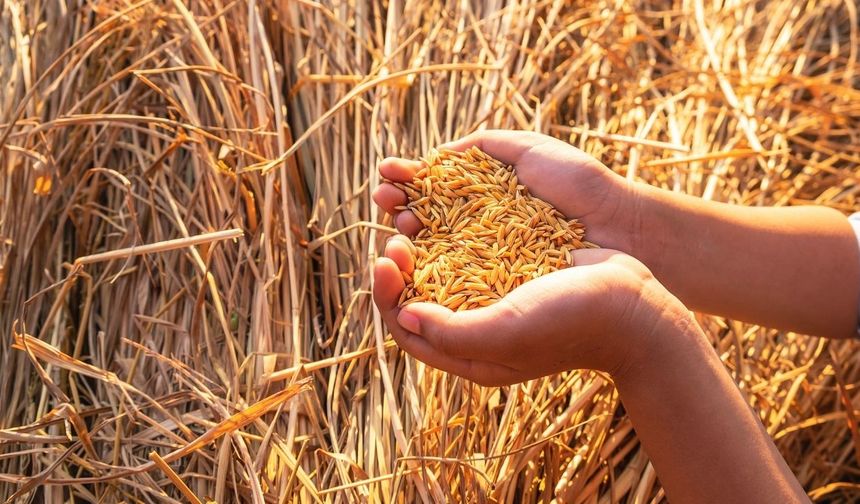 2026 Mazot ve Gübre Desteği Ödemeleri İçin Tarih Belli Oldu