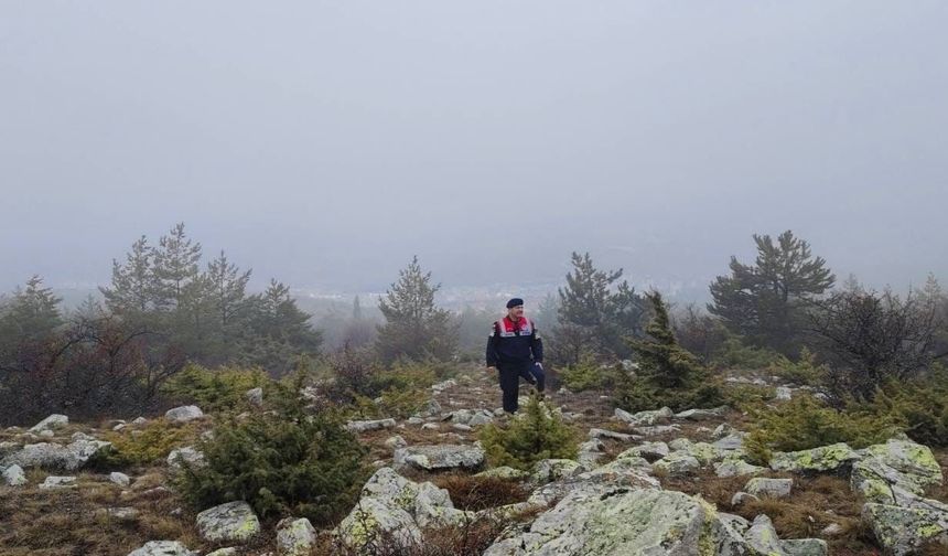 Yozgat'ta HAYDİ Ekiplerinden Yaban Hayatına Destek