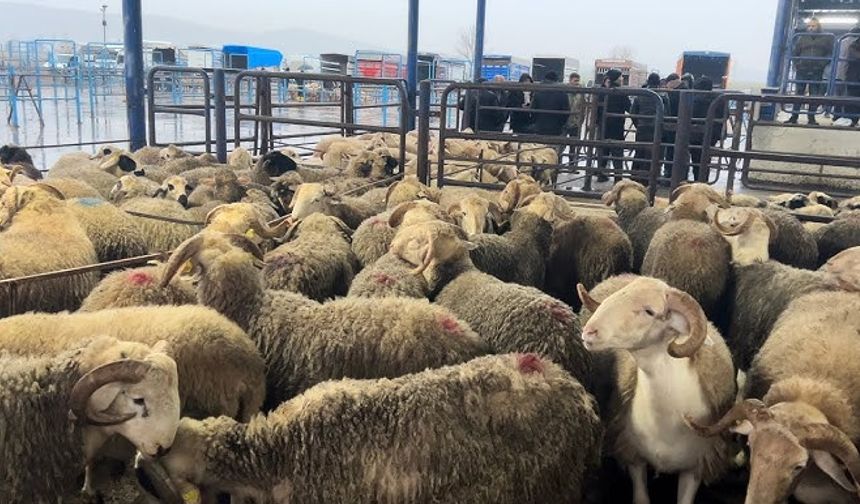 Yozgatlı Çiftçiler Dikkat! Dolandırıcıların Kurbanı Olmayın!