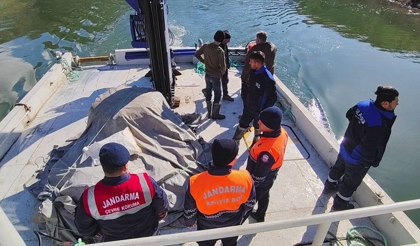 Jandarma Sahada: Çekerek’te Baraj ve Yaban Hayatı Mercek Altında