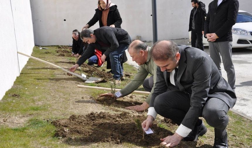 Geleceğe Nefes, Çınarlara Saygı: Yozgat’ta Fidanlar Toprakla Buluştu