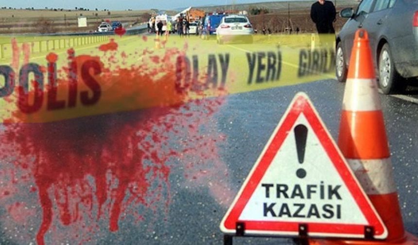 Alkollü Sürücünün Faciası: Aynı Aileden 2 Can Aldı!