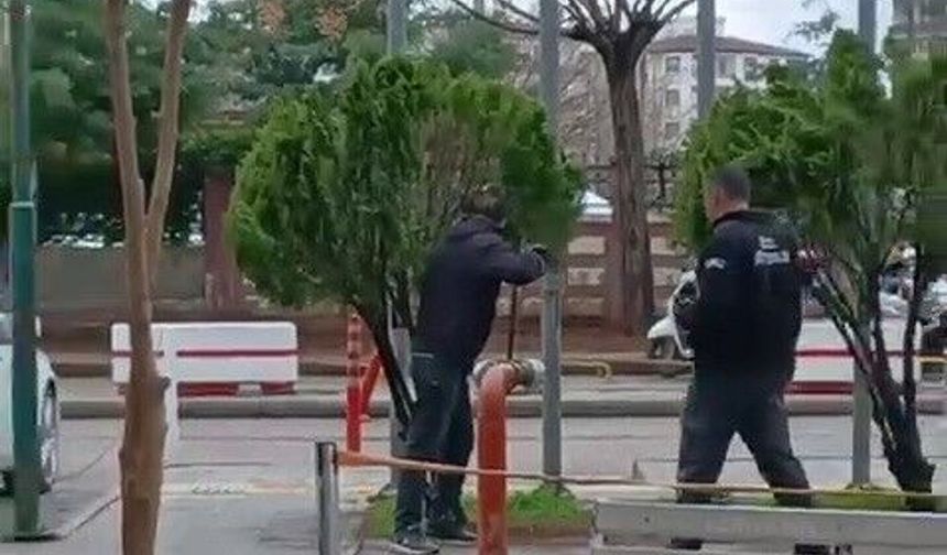 Hastane Bahçesinde Korkutan Görüntü