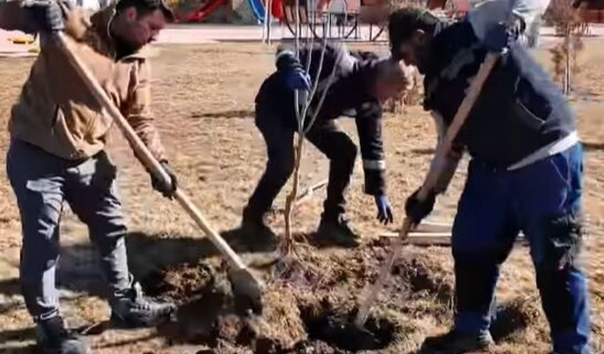 Sorgun Bahara Hazırlanıyor: İçimiz Açılacak