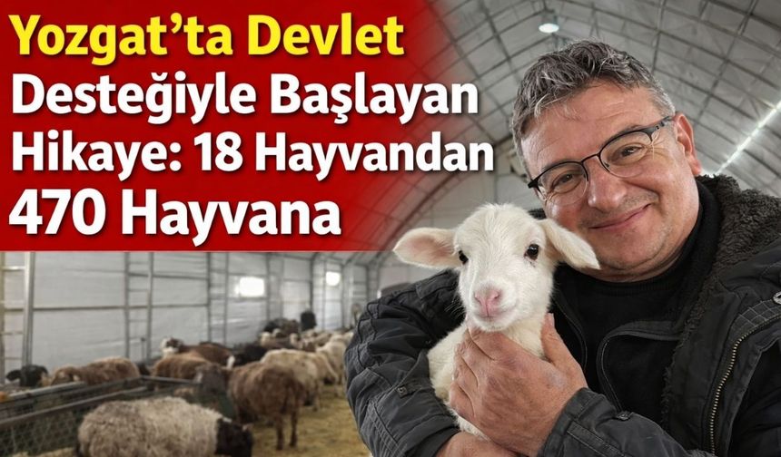Yozgat'ta Devlet Desteğiyle Başlayan Hikaye: 18 Hayvandan 470 Hayvana
