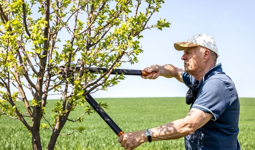 Yozgat’ta Meyve Bahçelerinde Bahar Mesaisi Başladı