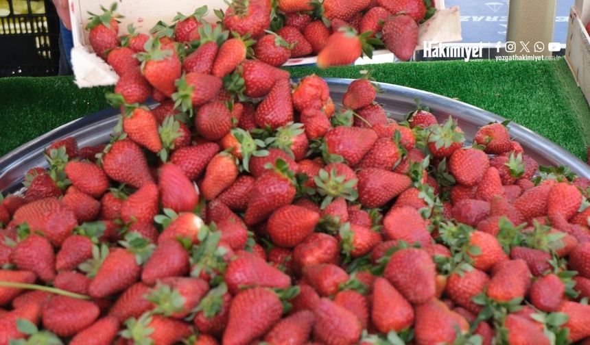 Sezonun İlk Çilekleri Tezgahlarda: Yozgat’ta Kilosu 120 TL