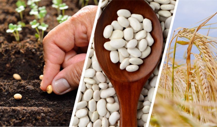 Yozgat'tan Kritik Uyarı: Destekleme Başvurusunda Hata Yapmayın