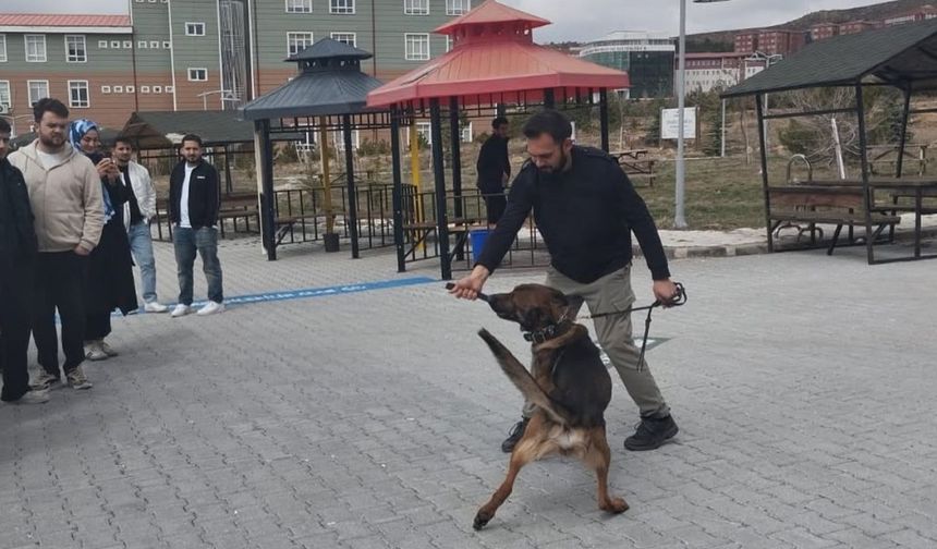 Yozgat’ta Uyuşturucuyla Mücadelede Sahadan Çarpıcı Gösteri