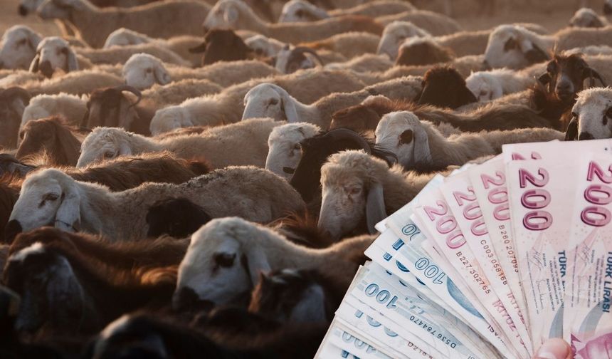 İkramiye ödemeleri yarın başlıyor, yeni emekliler için kritik tarih belli oldu