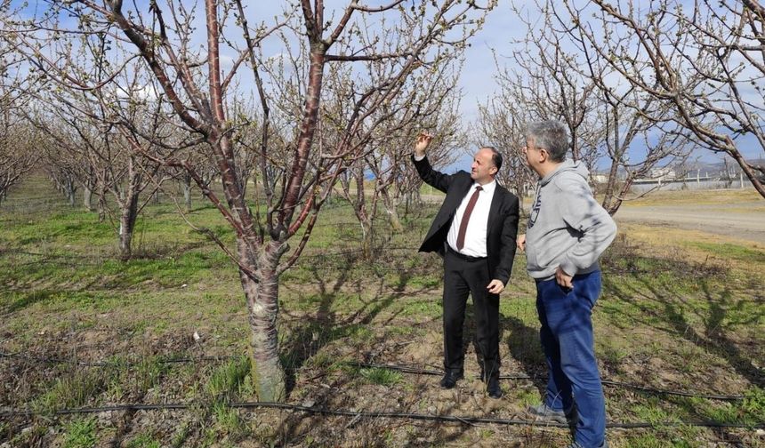 Yozgat İl Tarım Müdürlüğü Bahçelerde Önlemleri Artırdı
