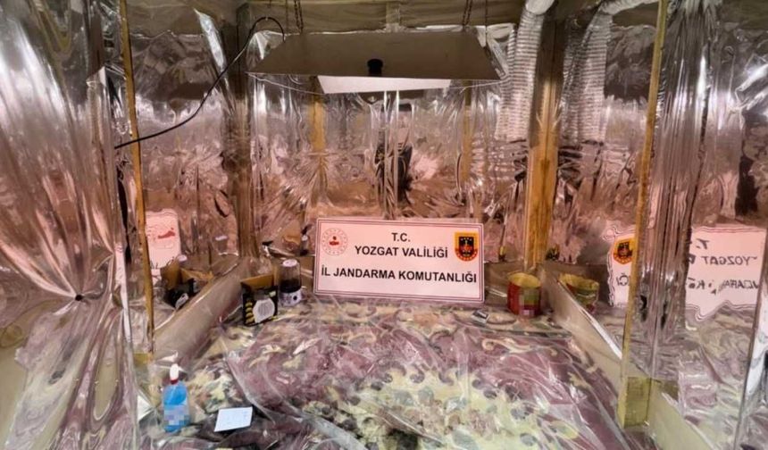 Jandarma Düğmeye Bastı: Yozgat’ta Uyuşturucu Düzenekleri Yakalandı