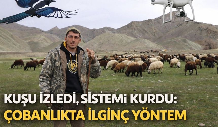 Kuşu İzledi, Sistemi Kurdu: Çobanlıkta İlginç Yöntem
