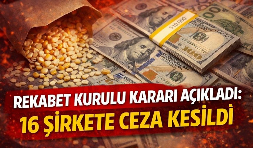 Rekabet Kurulu Kararı Açıkladı: 16 Şirkete Ceza Kesildi