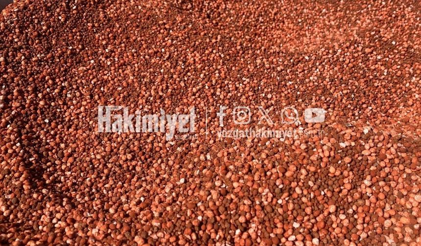 Şehrin Doğası Yozgat’ta Yenileniyor: Parklar Bakımda