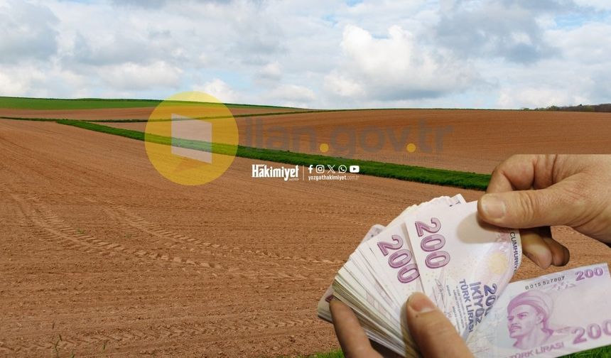 Yozgat'ta Dev Tarla Satışı Başladı: 4 Parsel Açık Artırmada