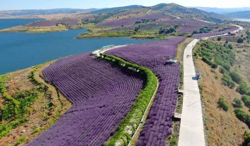 Yozgat’ın Saklı Cenneti: Efsanelerle Öne Çıkıyor
