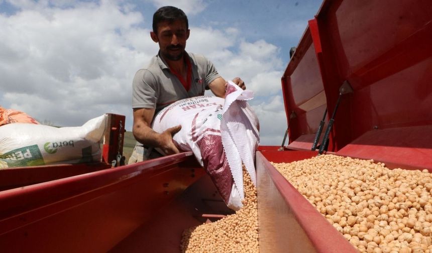 Yozgatlı Çiftçinin Yüzü Gülüyor: Geçen Yılın Acısı Bu Sezon Çıkacak!
