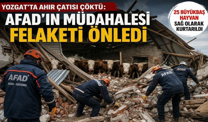 Yozgat’ta Ahır Çatısı Çöktü: AFAD’ın Müdahalesi Felaketi Önledi