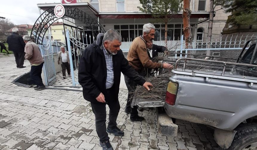 Yozgat'ta Badem Fidanı Dağıtımı Gerçekleştirildi