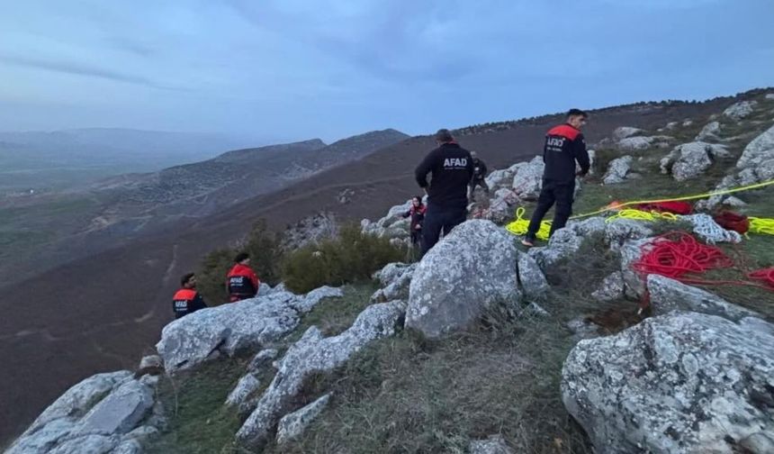 Yozgat’ta Kaybolan Hayvanlar İçin Ekipler Seferber Oldu