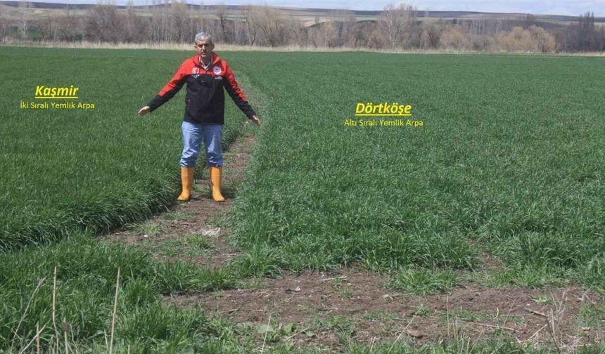 Yozgat’ta Verim Seferberliği: Yeni Tohumlar Tanıtılıyor