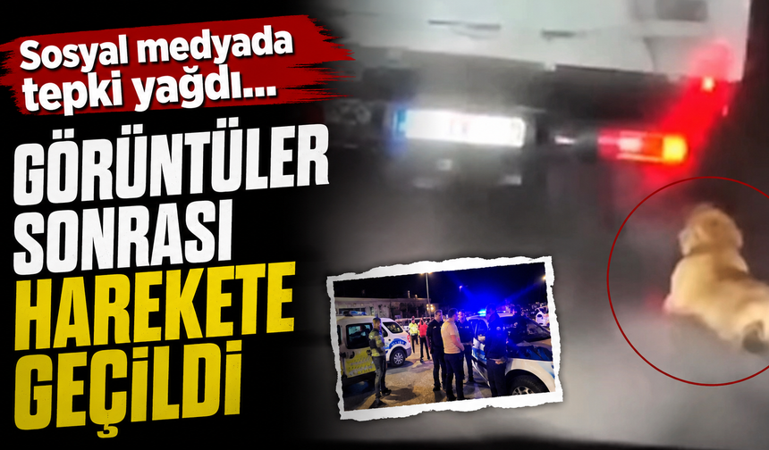Sosyal medyada tepki yağdı: görüntüler sonrası harekete geçildi