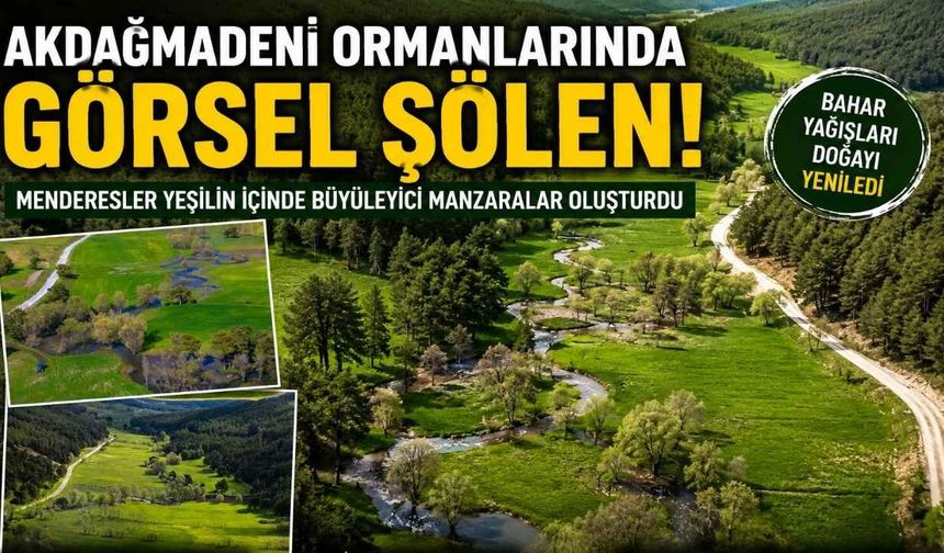 Akdağmadeni Ormanlarında Görsel Şölen
